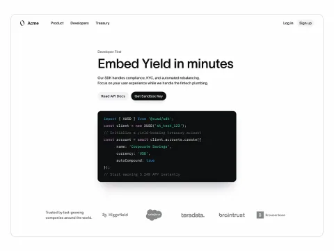 Developer-focused website hero with an embedded code example.